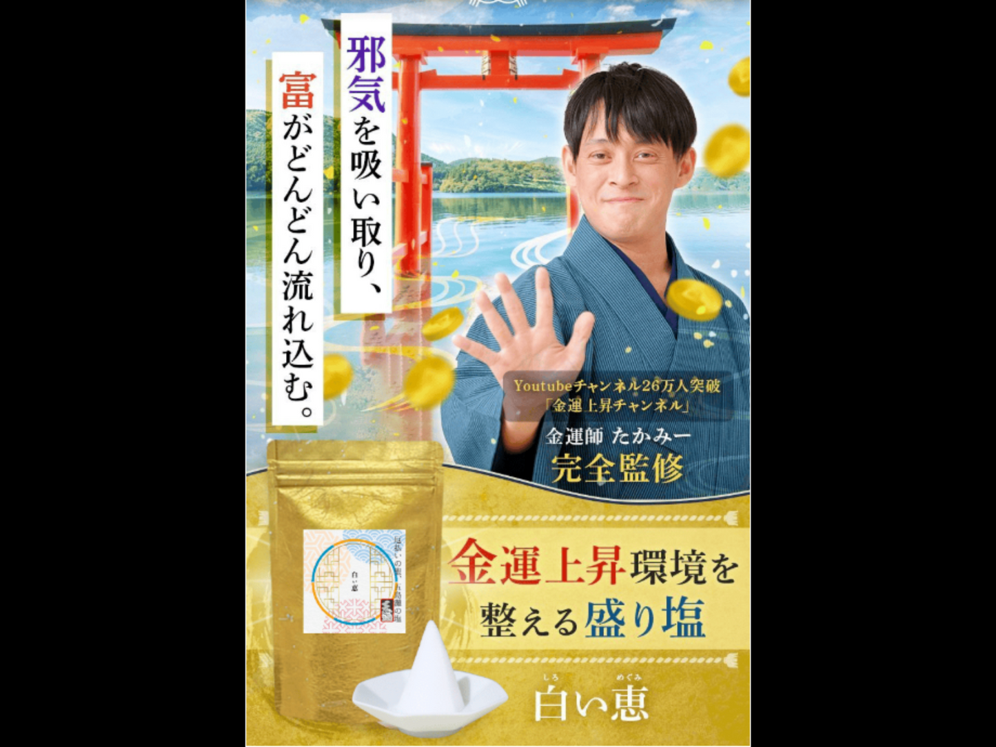 金運上昇環境を整える盛り塩「白い恵」