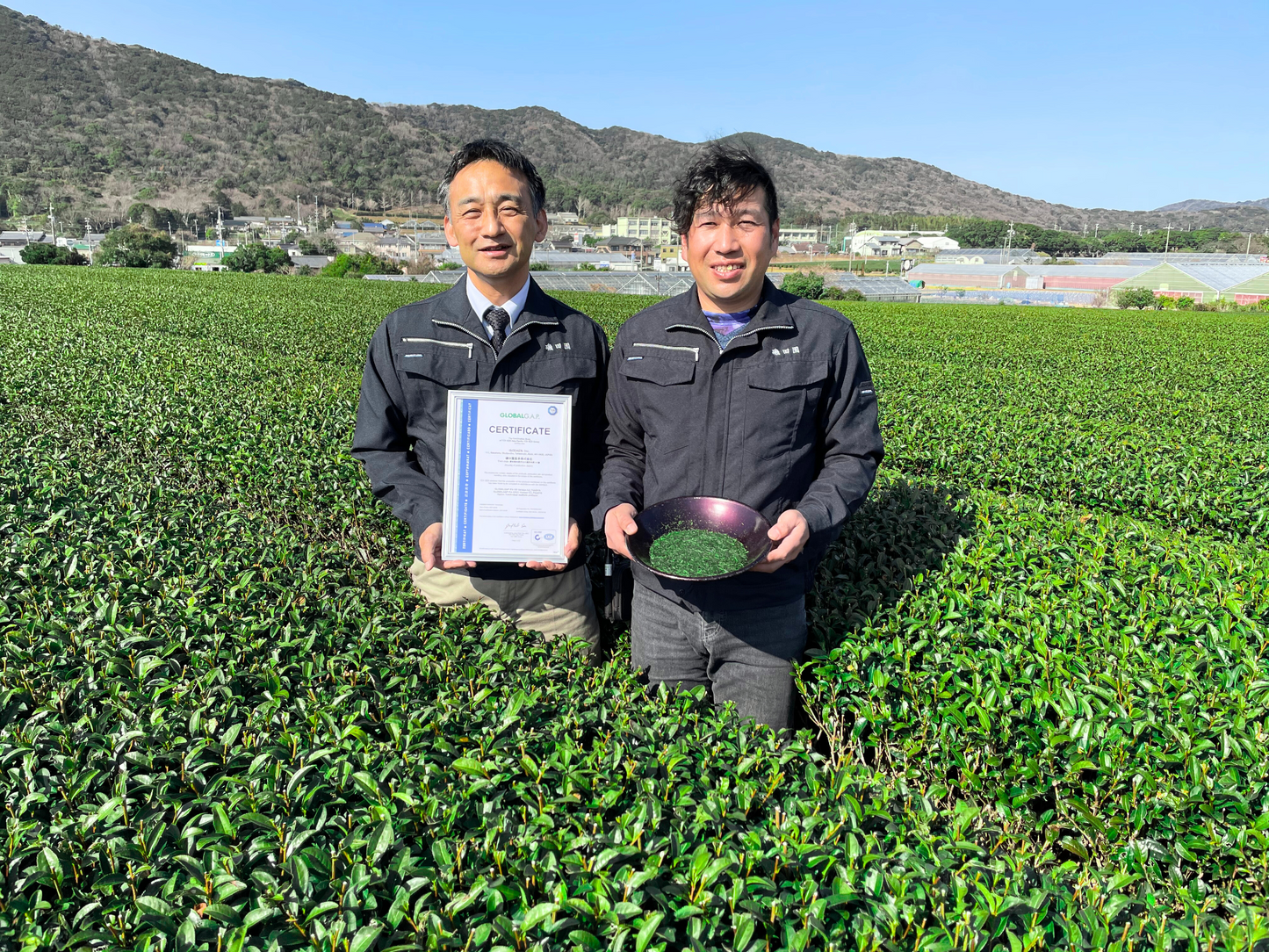 金紛入りの「金貯茶」